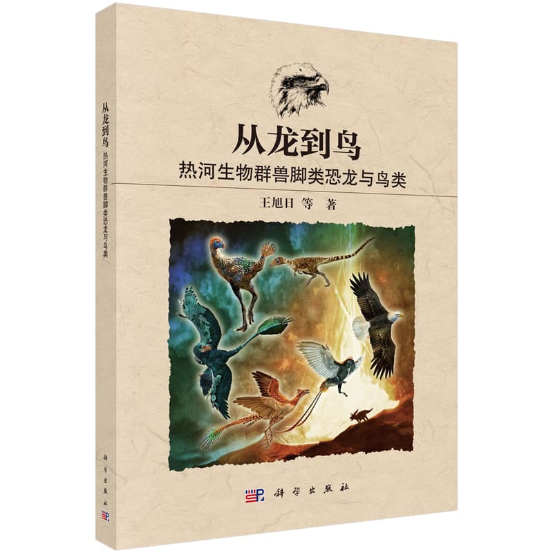 从龙到鸟—热河生物群兽脚类恐龙与鸟类—theropoda and aves from the Jehol biota