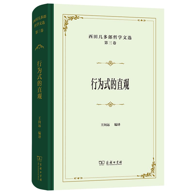 行为式的直观