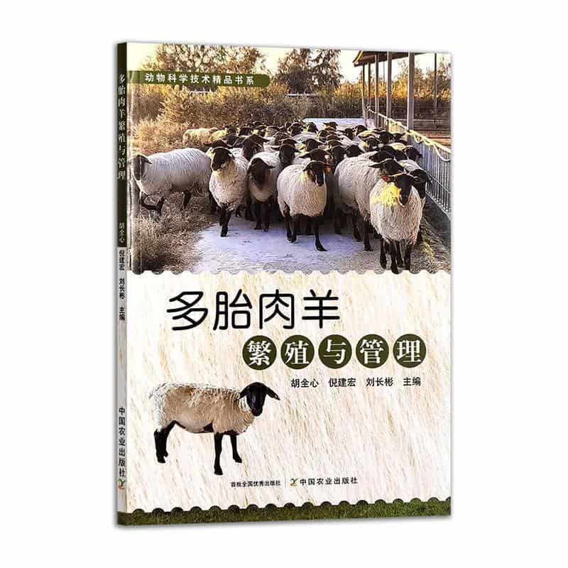 多胎肉羊繁殖与管理