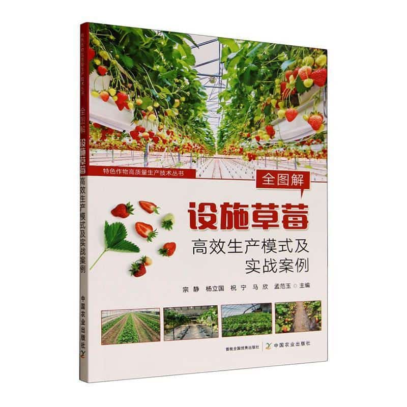 全图解设施草莓高效生产模式及实战案例