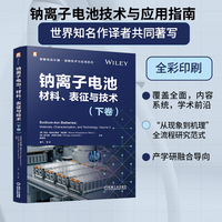钠离子电池—材料、表征与技术(下卷)