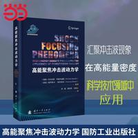 高能聚焦冲击波动力学