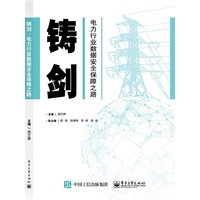 铸剑—电力行业数据安全保障之路