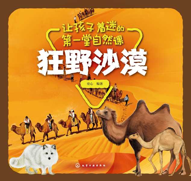 狂野沙漠