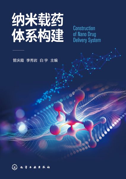 纳米载药体系构建