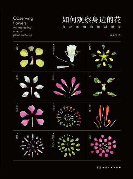 如何观察身边的花—有趣的植物解剖图鉴—an interesting atlas of plant anatomy