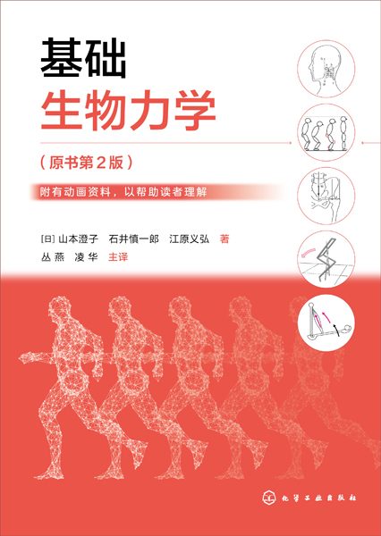 基础生物力学