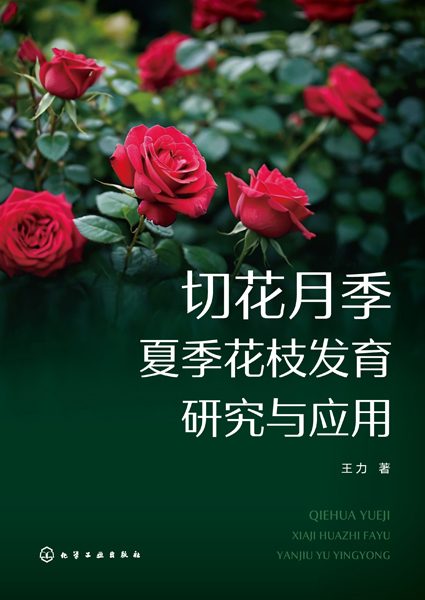 切花月季夏季花枝发育研究与应用