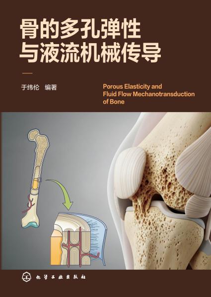 骨的多孔弹性与液流机械传导