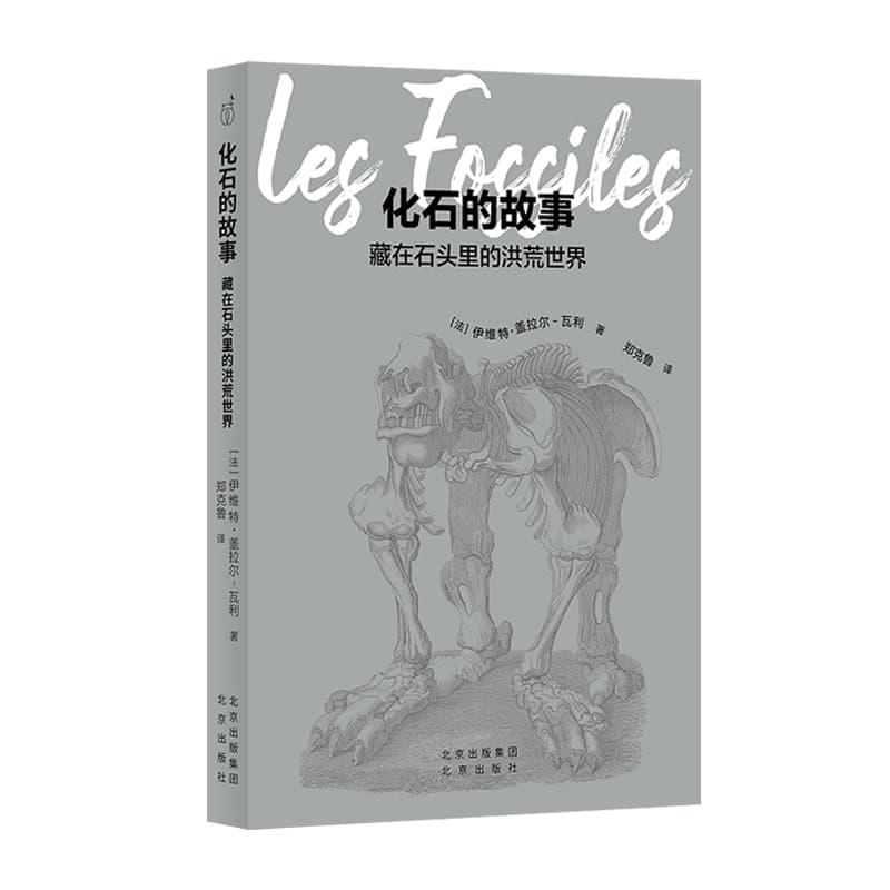 化石的故事—藏在石头里的洪荒世界: