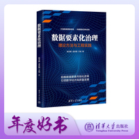 数据要素化治理—理论方法与工程实践