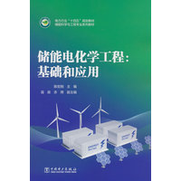 储能电化学工程—基础和应用