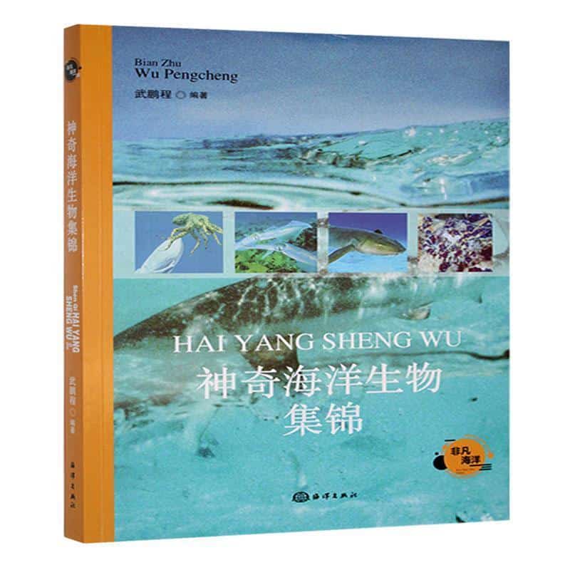 神奇海洋生物集锦