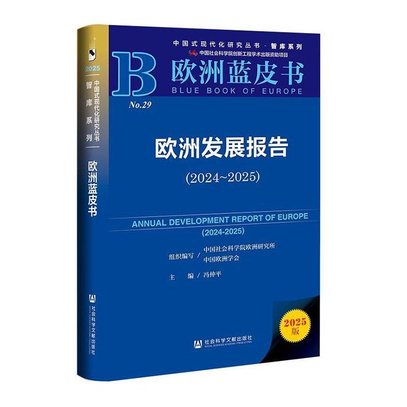 欧洲发展报告(2024-2025)(2024-2025)