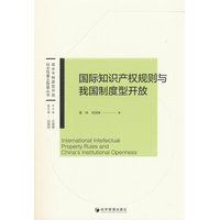 国际知识产权规则与我国制度型开放