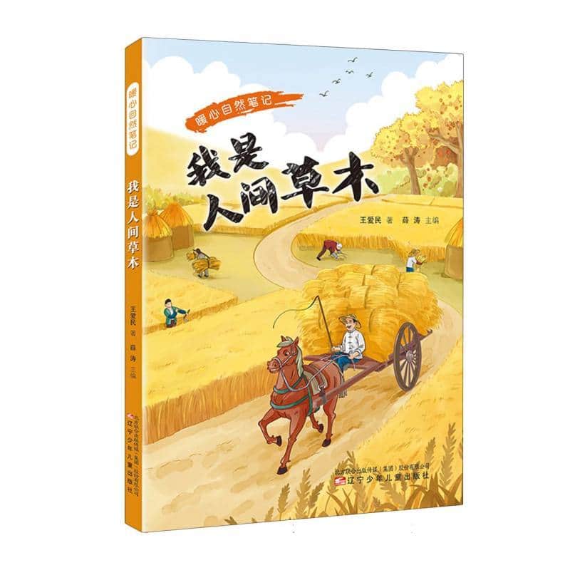 暖心自然笔记:我是人间草木