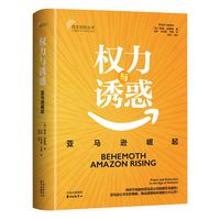 权力与诱惑—亚马逊崛起