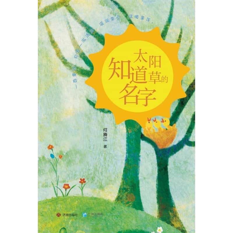 太阳知道草的名字