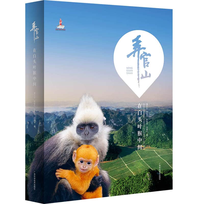 弄官山—在白头叶猴中间—among the white-headed langurs