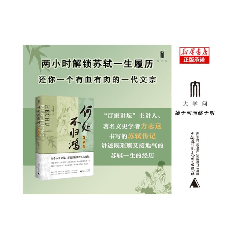 何处不归鸿—苏轼传