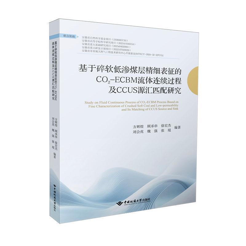 基于碎软低渗煤层精细表征的CO2-ECBM流体连续过程及CCUS源汇匹配研究