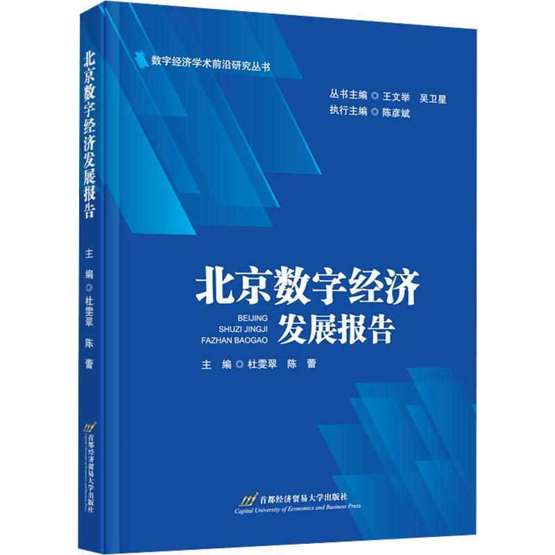 北京数字经济发展报告