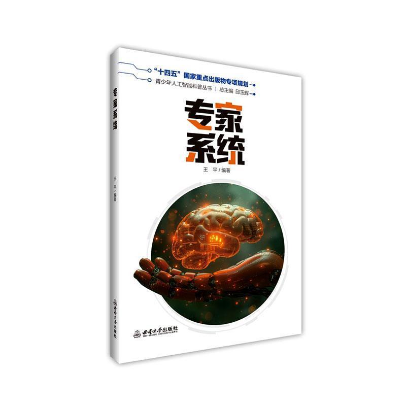 专家系统