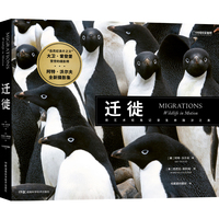 迁徙—wildlife in motion