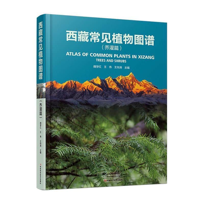 西藏常见植物图谱:乔灌篇