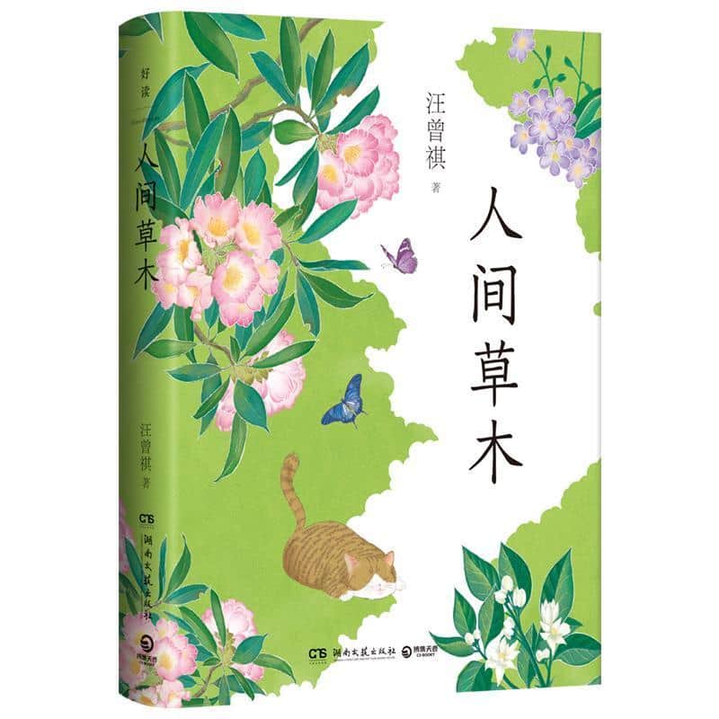 人间草木