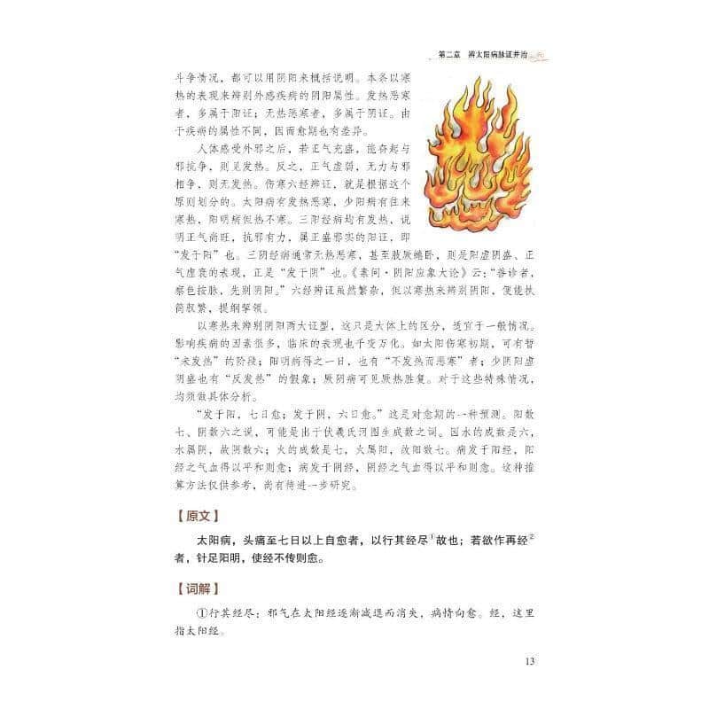 伤寒论精解