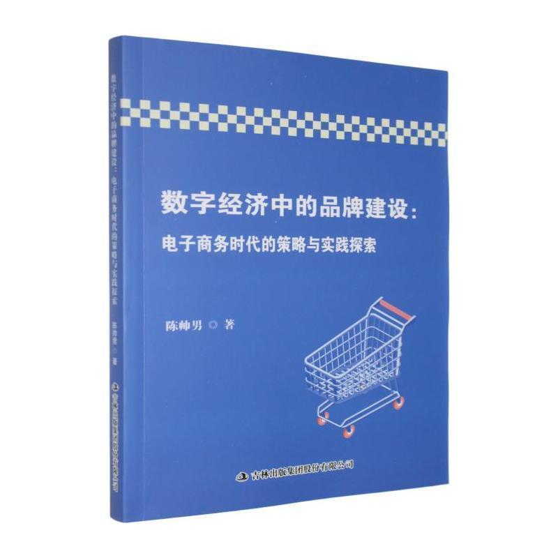 数字经济中的品牌建设—电子商务时代的策略与实践探索: