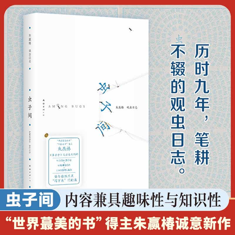 虫子间