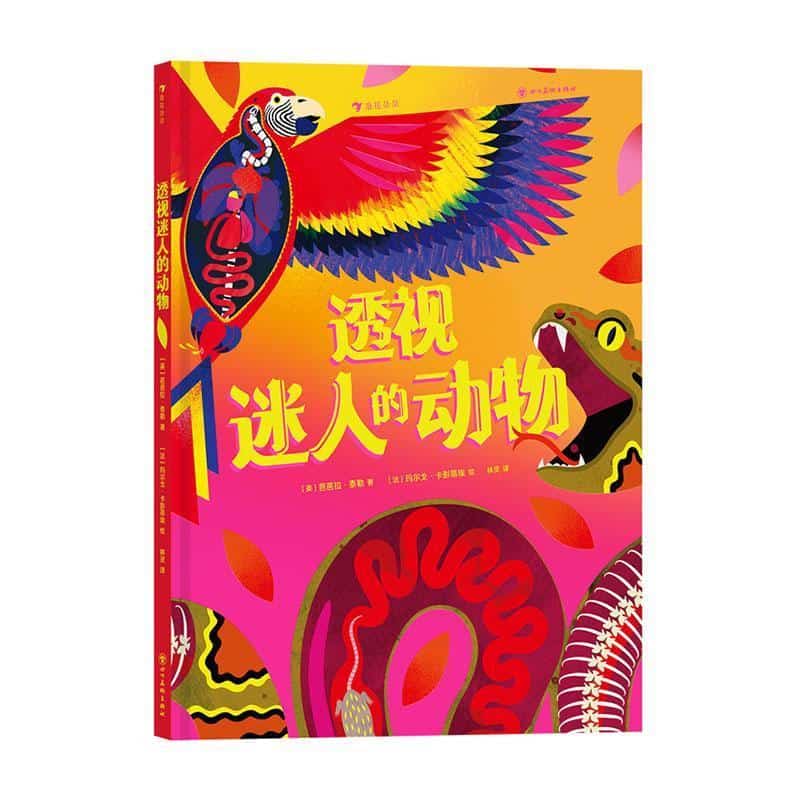 透视迷人的动物