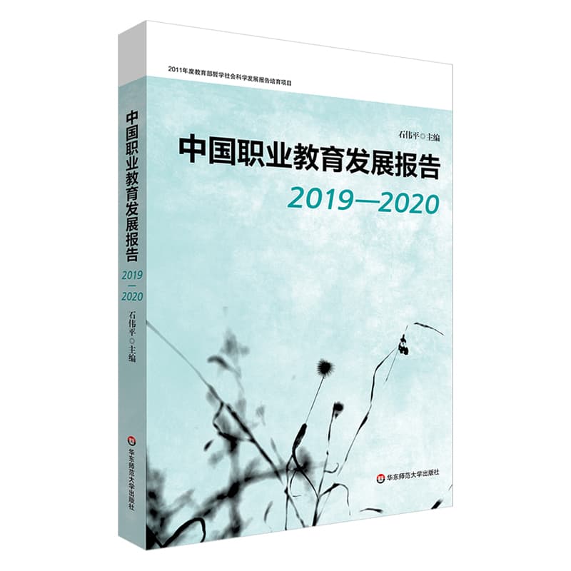 中国职业教育发展报告(2019-2020)