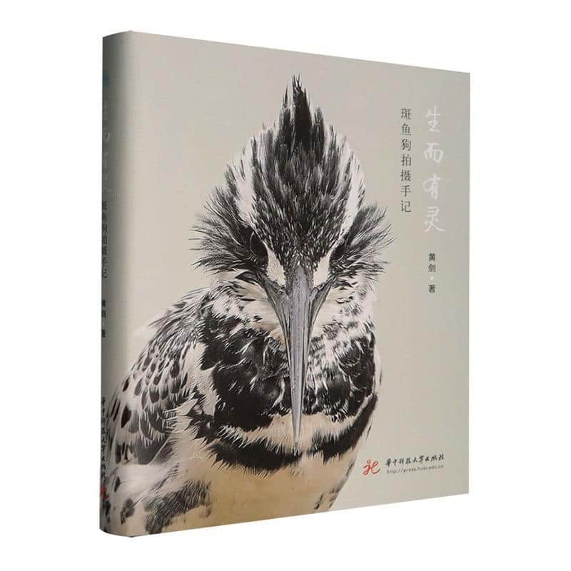 生而有灵—斑鱼狗拍摄手记
