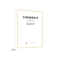 中国的能源转型—2024年8月