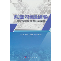 历史遗留采冶废渣重金属污染原位控制技术理论与实践