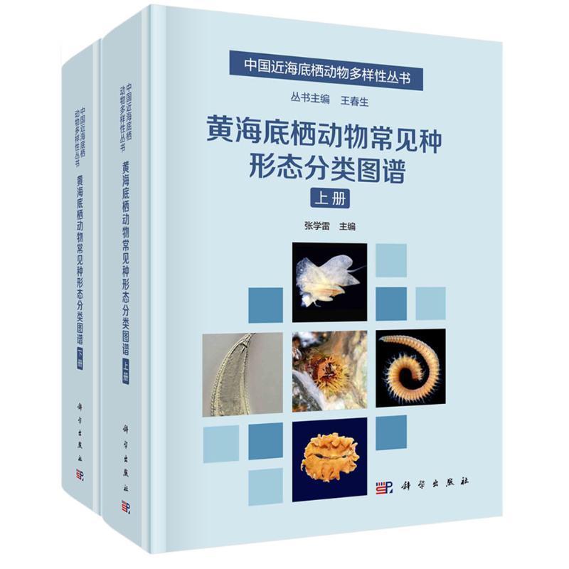黄海底栖动物常见种形态分类图谱