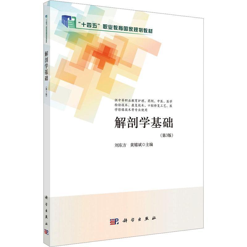 解剖学基础