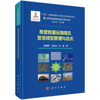 热塑性聚合物微孔发泡成型原理与技术