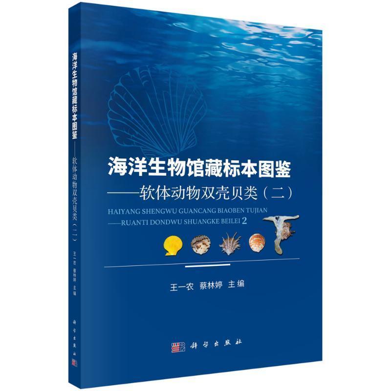 海洋生物馆藏标本图鉴—软体动物双壳贝类(二)