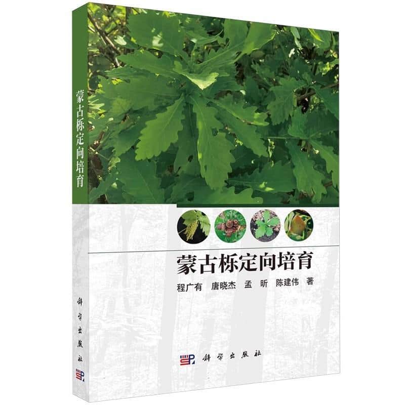 蒙古栎定向培育