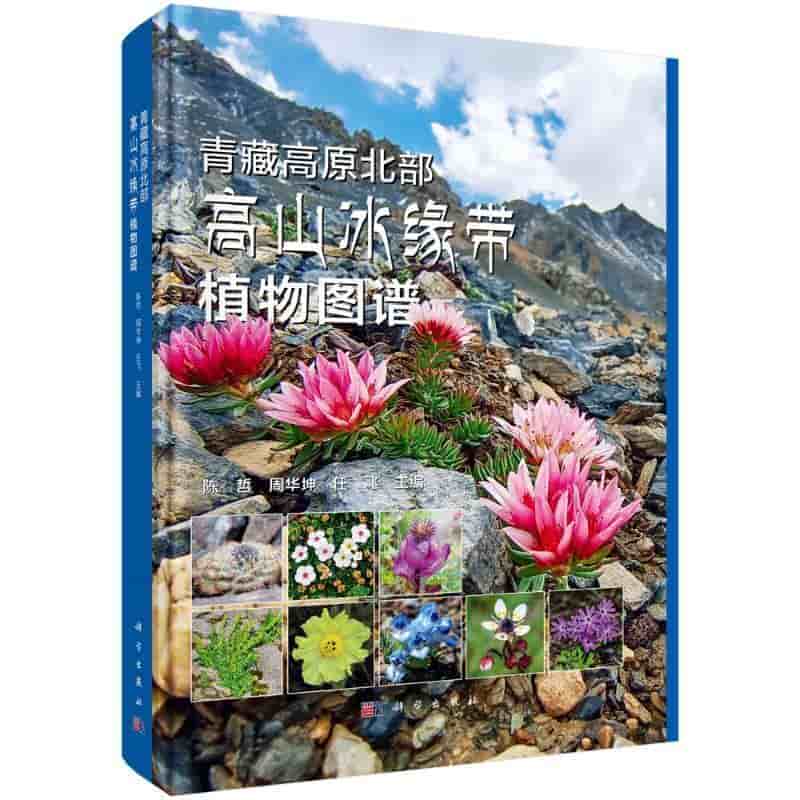 青藏高原北部高山冰缘带植物图谱