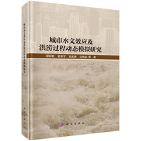 城市水文效应及洪涝过程动态模拟研究