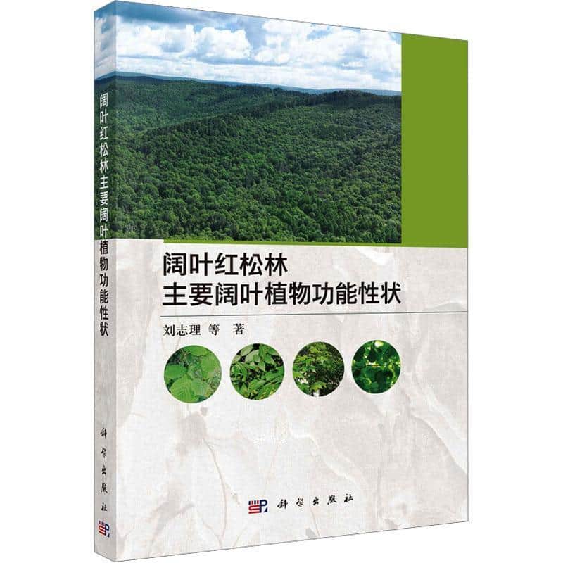 阔叶红松林主要阔叶植物功能性状