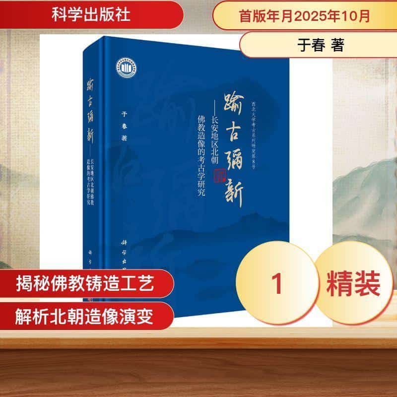 踰古弥新—长安地区北朝佛教造像的考古学研究