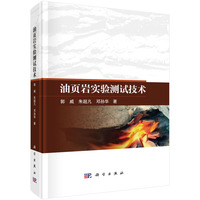 油页岩实验测试技术