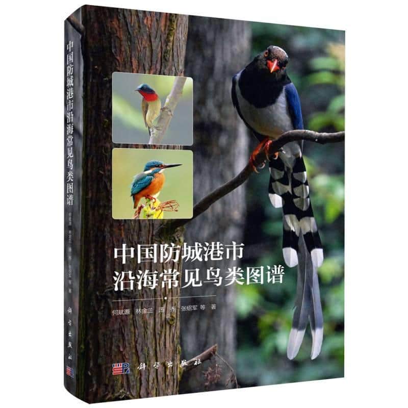 中国防城港市沿海常见鸟类图谱