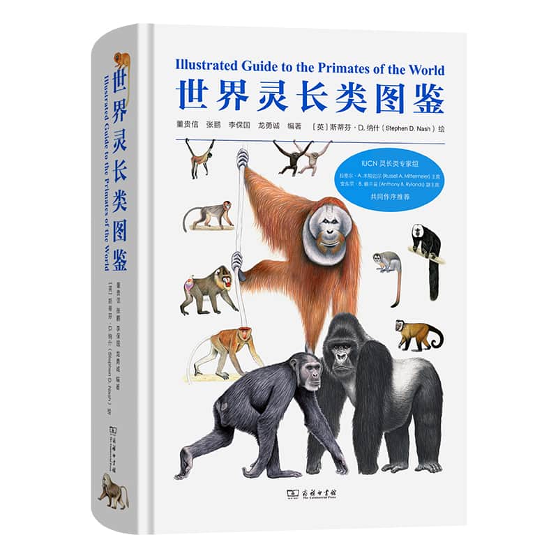 世界灵长类图鉴